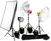 ThePermaWeb uses the best professional studio lighting available. We will even set up at your location if necessary.