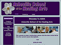 Website Design ASHA